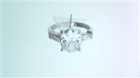 Ringe Sommer Dame in Weißgold Zirconia ZIRC OVALE D S/C - ZIRC OVALE D S/C